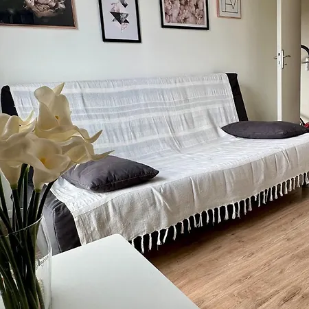 2 Chambres, Securise, Parking, Climatisation, Eurexpo Ldlc Arena Apartament Meyzieu